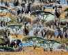 Serengeti Plains HMSP11948 Trunk Show