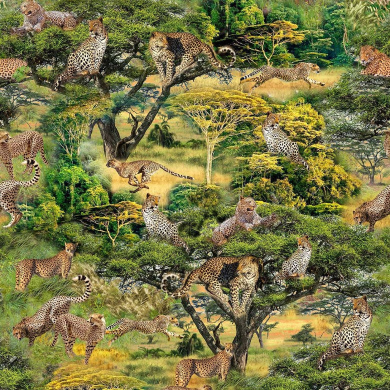 Serengeti Plains DCX11957-SUNS-D