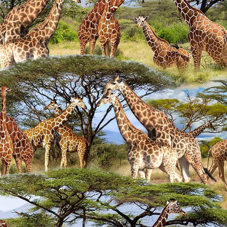 Serengeti Plains DCX11951-MULT-D