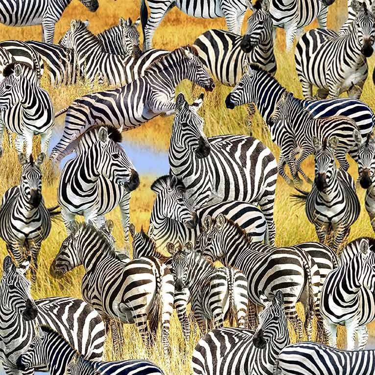 Serengeti Plains DCX11956-BLWH-D