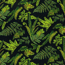 FERNLEA  73609  101 NAVY