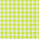 Kitchen Window Wovens Plaid Cactus