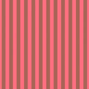 Tent Stripes PWTP069.Nova