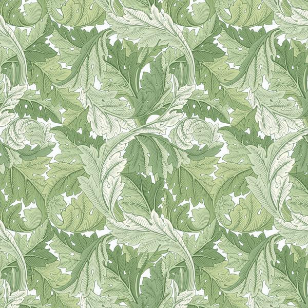 PWWM027.Green Large Acanthus