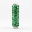 WonderFil Sue Spargo Razzle Variegated Thread - Hint of Mint RZM08