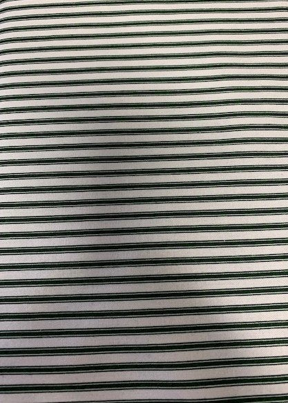 Ticking Stripe Green