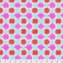 Conservatory 2 PWCO004 Fireworks